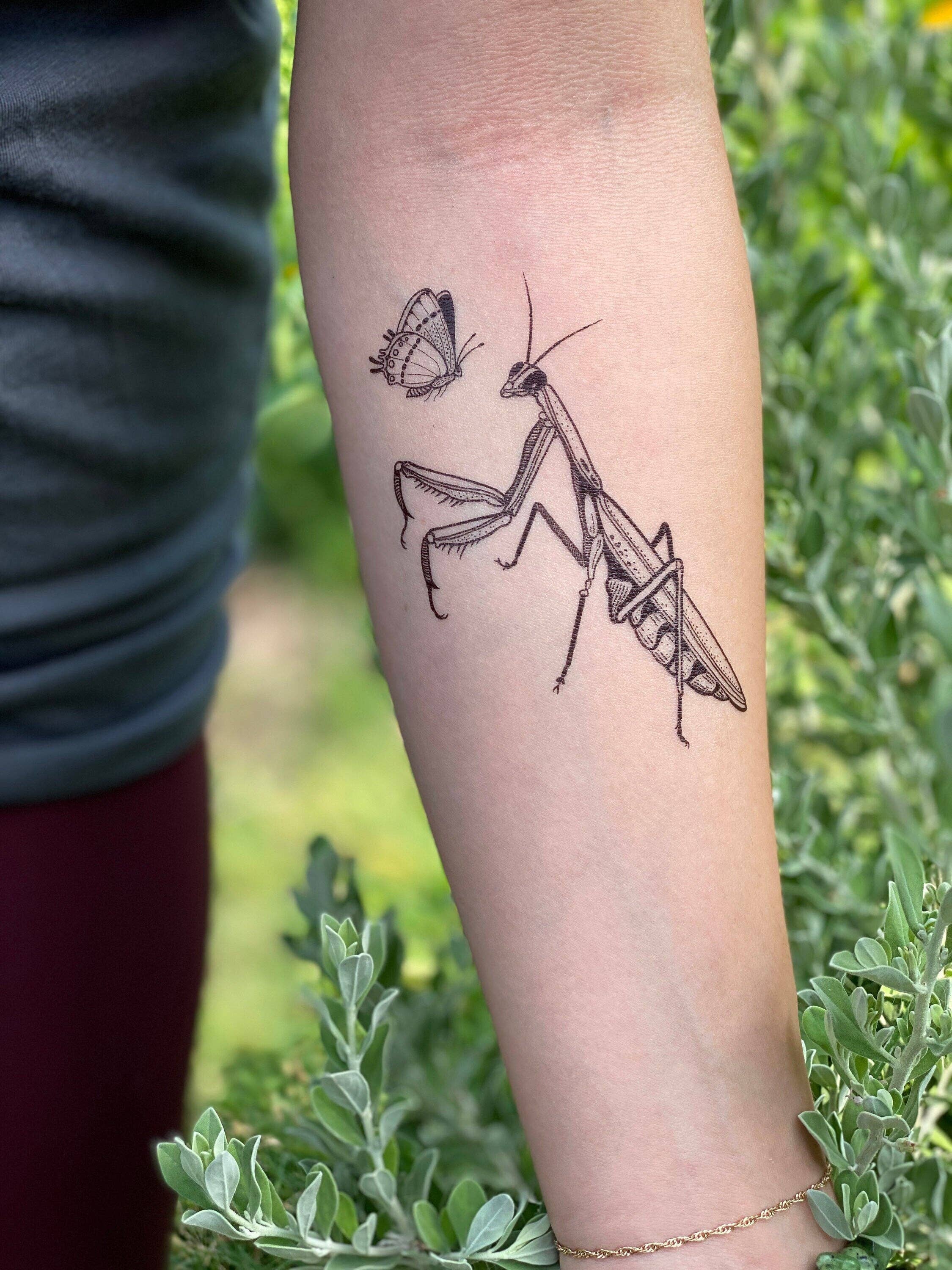 Praying mantis done by James at illusion ink in Southaven MS  rtattoo